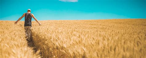 Image result for Variable Rate Technology Flow Chart