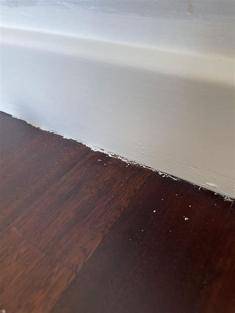 Get paint off hardwood floor : r/AusRenovation