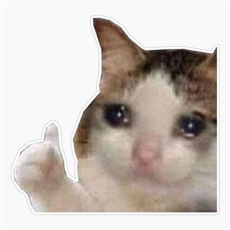 Crying Cat Thumbs Up