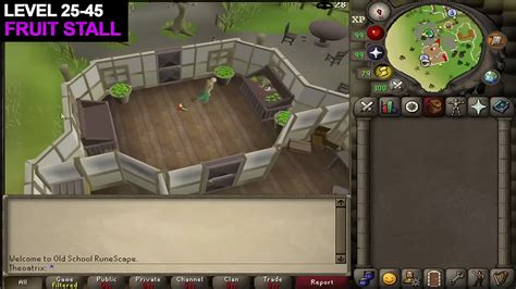 Theiving Guide 2021 OSRS 的图像结果