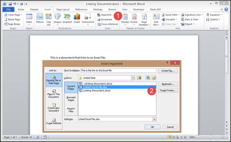 Image result for How to Open Linked File I