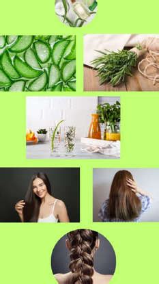 DIY Rosemary Aloe Vera Tonic For Hair Growth