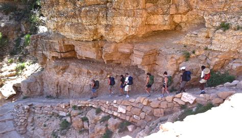 Grand Canyon Day Hike with Rim Sightseeing Tour. Available daily from ...
