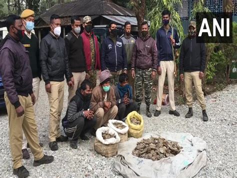 West Bengal: Belakoba forest officials seized pangolin scales; 3 held
