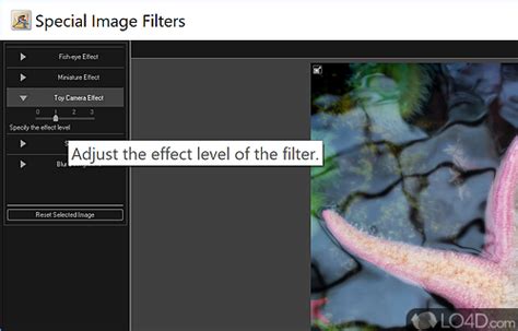 My Image Garden Tutorial 的图像结果