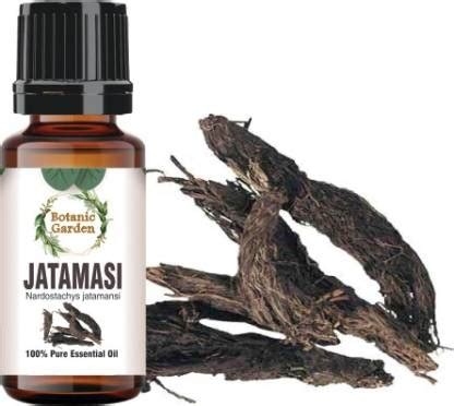 botanic garden Spikenard (Jatamasi)/ Nardostachys jatamansi For ...