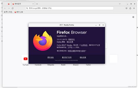 Install Firefox Now 的图像结果