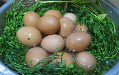 三月三荠菜煮鸡蛋 孕妇能吃荠菜煮鸡蛋吗_宫爱网