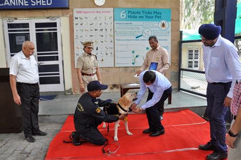 Indian Custom K9 - Dager (Arjun)'s Retirement Ceremony