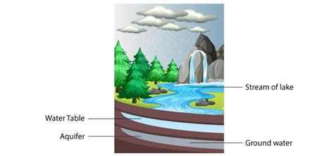 Stormwater Basics 的图像结果