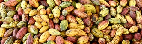 MillerLite Neoprene Laptop Sleeve 15 - www.adberinfra.co.in