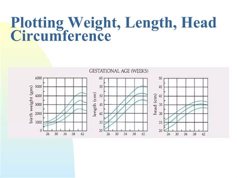 Physical assessment of the neonate | PPT