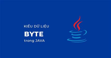 Java.lang.byte 的图像结果