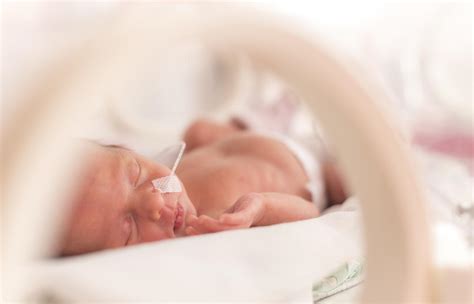 Cool 33 Weeks Premature Baby 2023 - Pregnancy Symptoms