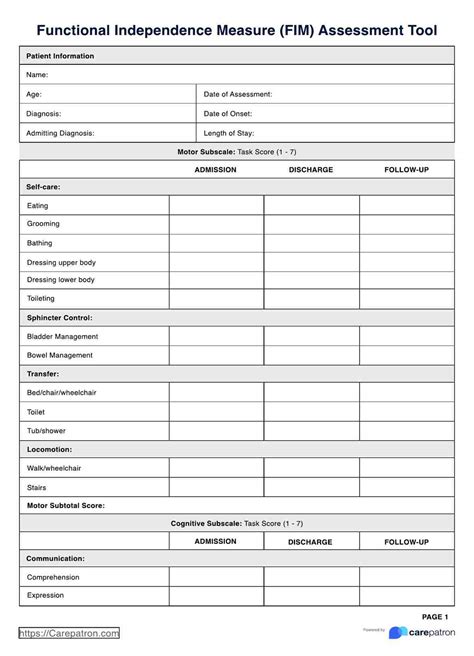 Functional Independence Measure