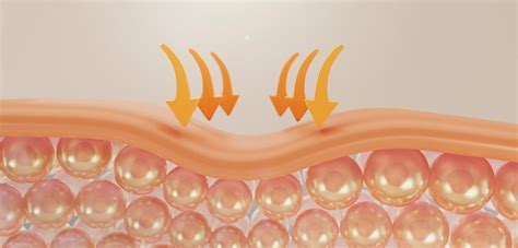 AgeBiome: Why Your Skin’s Junction & Your Hair Root Work as One System ...