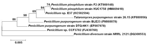 Screening for cold active extracellular enzymes by strain F2