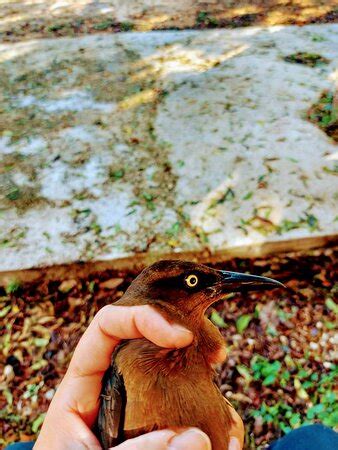 HACIENDA SANTA MARIA DE BATZAN (Uman) - Hotel Reviews & Photos ...