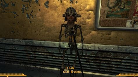 Image result for Fallout New Vegas Randomizer