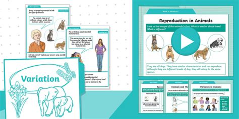 Stepping into Science: Y6: Summer: Variation: Steps 1 to 2