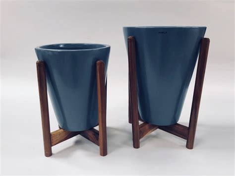 Love Bite With Wooden Stands - Grey– Exotic Flora