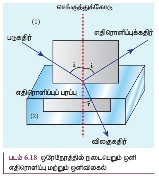 ஒளிவிலகல் - ஒளியியல் | இயற்பியல் | Refraction - Optics | Physics | in Tamil
