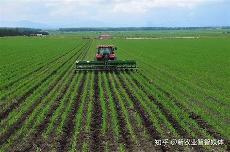 中国农业现状 - 知乎