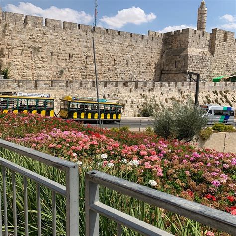 WESTERN WALL TRAIN (2025) All You Need to Know BEFORE You Go (with ...