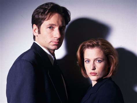 the series, David Duchovny, The X-Files, Classified material, Gillian ...