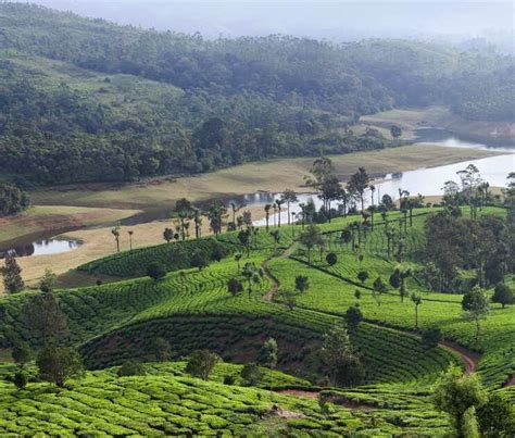 Image result for Assam Language