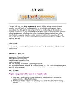 Image result for API 20E PDF