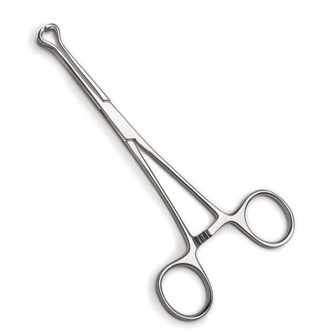 BSIPL Babcock Tissue Forceps 8 Inch Surgical instrument pack of 1 ...