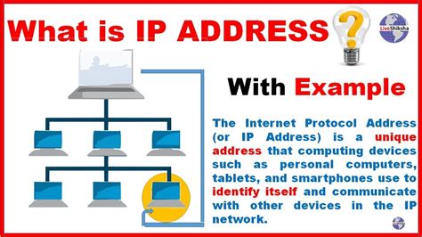 Image result for IP/Network Definition
