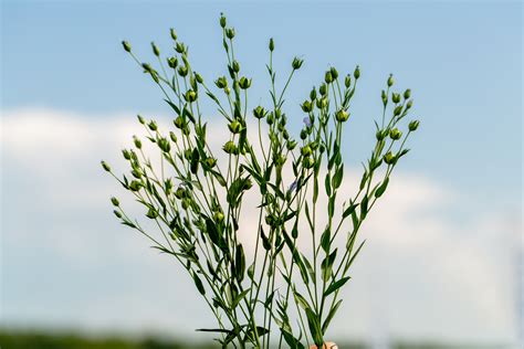 Family Dentistry in Katy, Texas and Cypress, Texas - Welch Dental Group