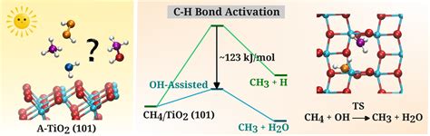 H2O2 Catalyst 的图像结果