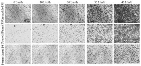 Impact of Particle Shape and Surface Group on Membrane Fouling