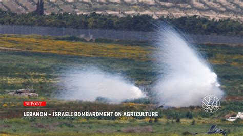 Heavy Damage: How ‘Israel’ Is Targeting Lebanon’s Agriculture in the South - Al-Estiklal Newspaper
