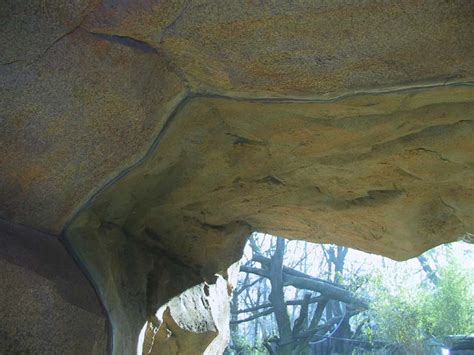 ZooLex Image - Glass Panel