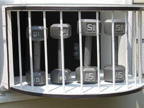 Image result for Best Cat Window Boxes