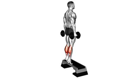 Dumbbell Calf Raise: Video Guide & Tips