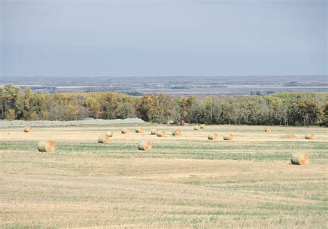 Rural Area 的图像结果