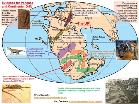 Distribution Of Fossils In Continental Drift Theory