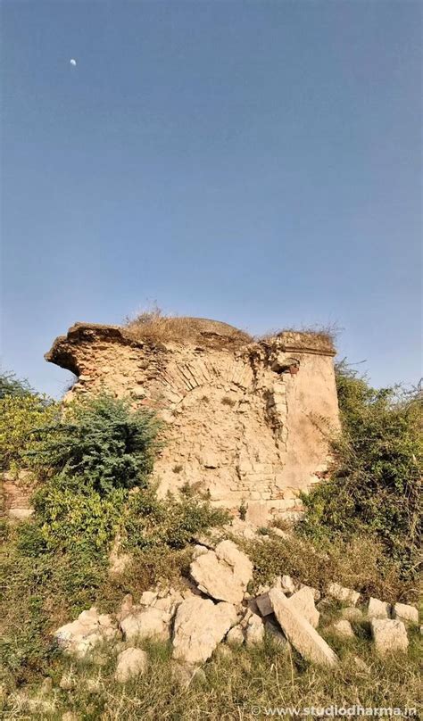Unveiling the Forgotten Legacy of Rapdi Riyasat, Shikohabad. - Studio ...