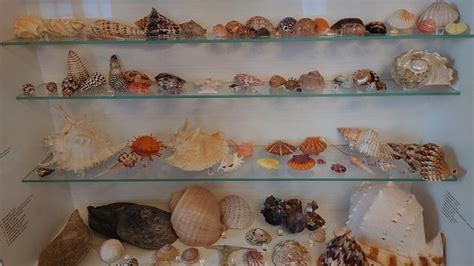 Neues Schloss (Meersburg (Bodensee)) - 2020 What to Know Before You Go ...