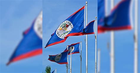 Unique Flags of the World 的图像结果