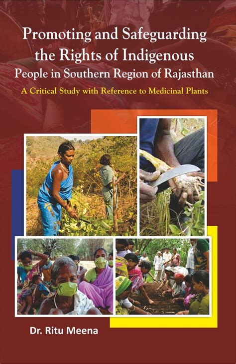 Buy Promoting and Safeguarding the Right of Indigenous People in ...