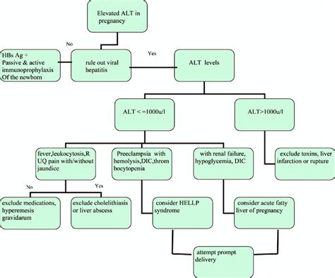 Management of raised ALT in pregnancy. | Download Scientific Diagram