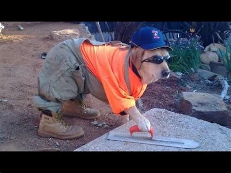 Image result for Building Code Meme