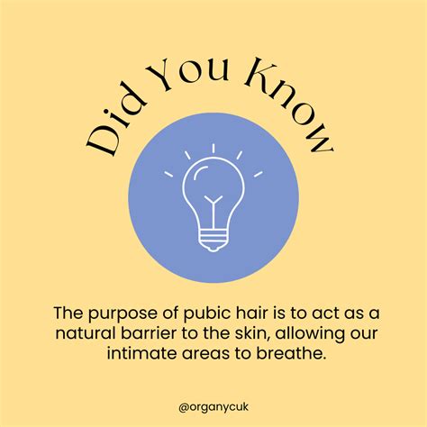 The Purpose of Pubic Hair — Organyc