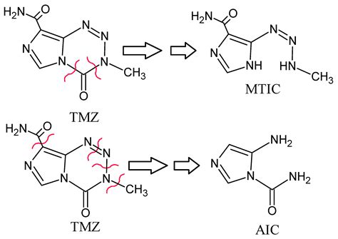 Oncolytic Newcastle Disease Virus Co-Delivered with Modified PLGA ...